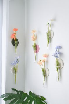 three vases with flowers are hanging on the wall next to a potted plant