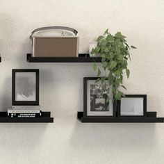 three black shelves with pictures, books and a plant on them against a white wall