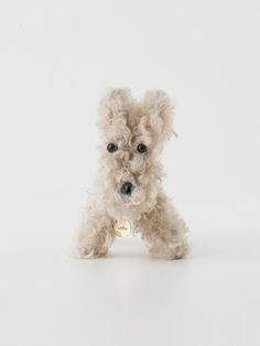 a small white dog sitting on top of a white floor