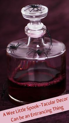 a spider - spook - tacular decor can be an entertaining thing for halloween