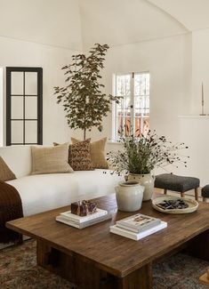 a living room filled with furniture and a potted plant on top of a coffee table