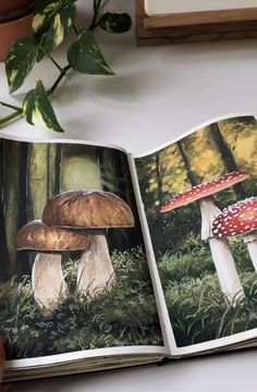 an open book with pictures of mushrooms on it