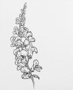 Snapdragon Tattoo, Garden Tattoos, Floral Tattoos, Family Tattoo, Doodle Tattoo, Spooky Tattoos, Flower Sketches, Aesthetic Tattoo