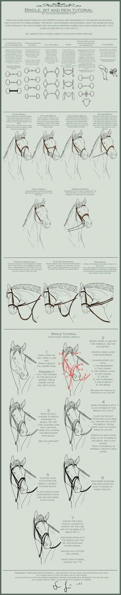 an info sheet showing how to draw hands