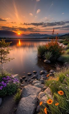 the sun is setting over a body of water with rocks and flowers in front of it