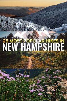 purple flowers in the foreground with mountains in the background and text that reads 28 most popular hikes in new hampshire