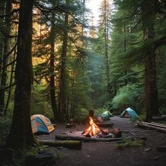 a campfire in the middle of a forest with two tents set up next to it