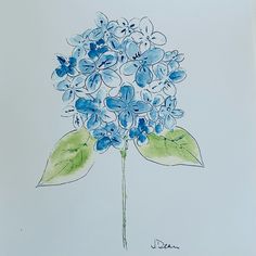 a drawing of blue flowers with green leaves