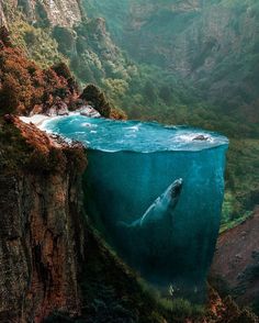 an underwater view of a body of water with mountains in the background and grass growing on both sides