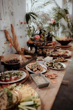 a long table filled with lots of food on top of wooden tables covered in potted plants