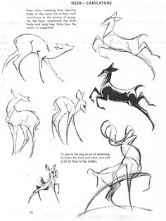 an image of some animals that are drawn in black and white pencils, with the words deer - caricatures written below