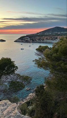 boats in the water near some trees and rocks