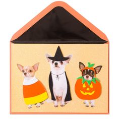 two chihuahuas dressed up as witches and pumpkins in a halloween card with an ornament