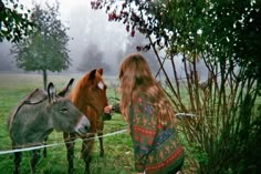 a woman standing next to two donkeys on a lush green field