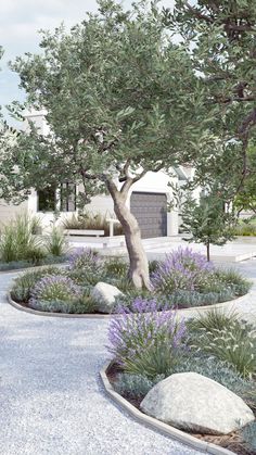 a tree and some bushes in a garden area with rocks, grass and gravel on the ground