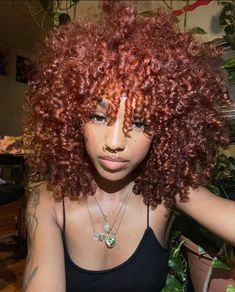 Curly Hair Colour Ideas Highlights, Burgandy Hair Curly Hair, Bold Hair Color Ideas, Color Ideas For Curly Hair, Curly Hair Color, Ideas For Curly Hair, Dyed Curly Hair, Bold Hair Color, Red Curly Hair