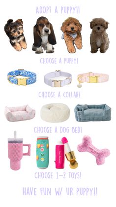 Puppy Essentials, Puppy Adoption, Dog Bed, Adoption, Puppies, Toys, Dogs