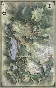 a map with many rivers and mountains in the middle, including trees on both sides