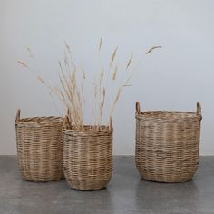 three wicker baskets sitting on top of a floor next to each other with plants in them