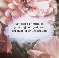 a pink flower with a quote on it that says set peace of mind as your highest goal, and organize your life around it