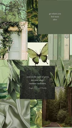 a collage with green and white images, including a quote from the book lost in the forest