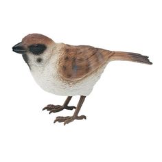 a brown and white bird standing on its hind legs