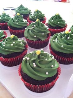 cupcakes decorated with green frosting and white sprinkles on a tray