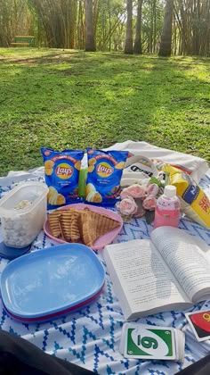 an open book on a picnic table with snacks