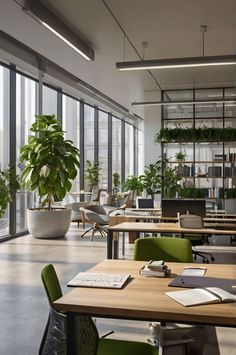 an empty room with tables, chairs and plants on the windowsills in front of them