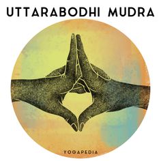 Uttarabodhi #mudra is a yogic hand gesture of enlightenment. Practicing uttarabodhi mudra is a great way to calm the excited mind, or soothe the nerves before starting any seemingly overwhelming task. Varuna Mudra, Kalesvara Mudra, Uttarabodhi Mudra, Kundalini Reiki, Sahaja Yoga, Monkey Mind, Yoga Symbols