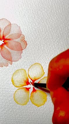 a person is painting flowers with watercolors on paper and using a pencil to draw the petals