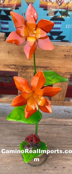 an orange flower is in a glass vase