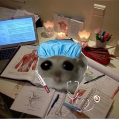 an animal wearing a blue hat on top of a desk