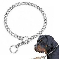 a black dog is chained to a silver chain