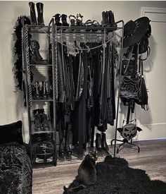 a cat sitting on the floor in front of a closet