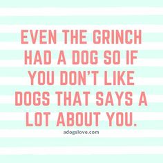 a quote that says even the grin had a dog so if you don't like dogs