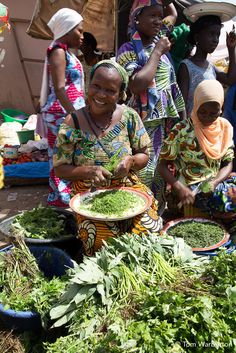 several women are gathered around bowls full of green plants and vegetables, all smiling for the camera