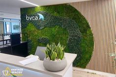 Moss EnviroWall | Preserved Green Moss Walls For Interior Design | Biophilic Interior Commercial Design Moss Green Walls, Selfie Wall, Green Office, Dental Office Design, Italian Decor