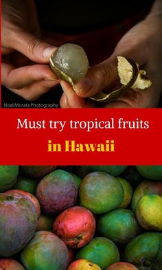 a person holding a piece of fruit in their hands with the title hawaiian tropical fruit a complete guide to fruits in season