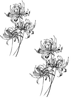 two black and white flowers are shown in this drawing, with one flower on the other side