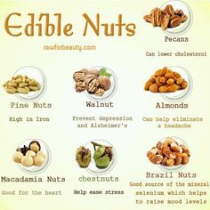 Edible nuts Pine Nuts Benefits, Brazil Nuts Benefits, Nuts Benefits, Healthy Nuts, Eat Clean, Energy Drink, Lower Cholesterol