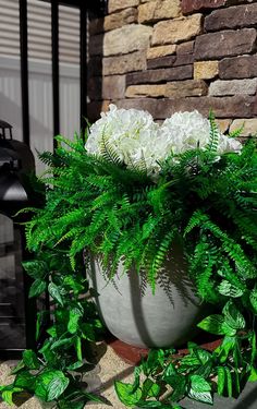 a large potted plant with white flowers in front of a brick wall