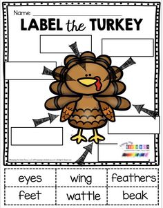 a turkey themed label the turkey game for kids to practice their identification skills and read alouds