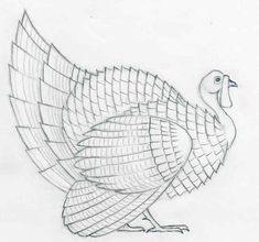 a drawing of a turkey on paper