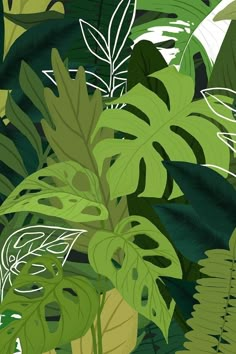 an image of green leaves and plants in the jungle pattern on a wallpaper background