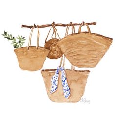 three hanging baskets with plants in them on a white background, watercolor and ink