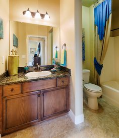 a bathroom with a sink, toilet and bathtub