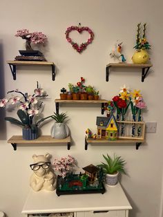 some shelves with flowers and plants on them