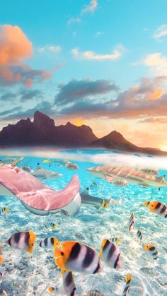 a large pink object floating in the ocean with many fish around it and mountains in the background