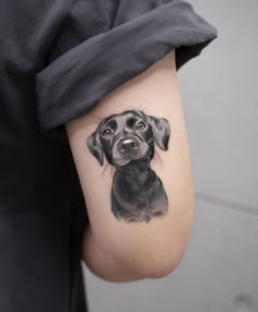 a black dog tattoo on the right inner arm and shoulder, with an orange eye